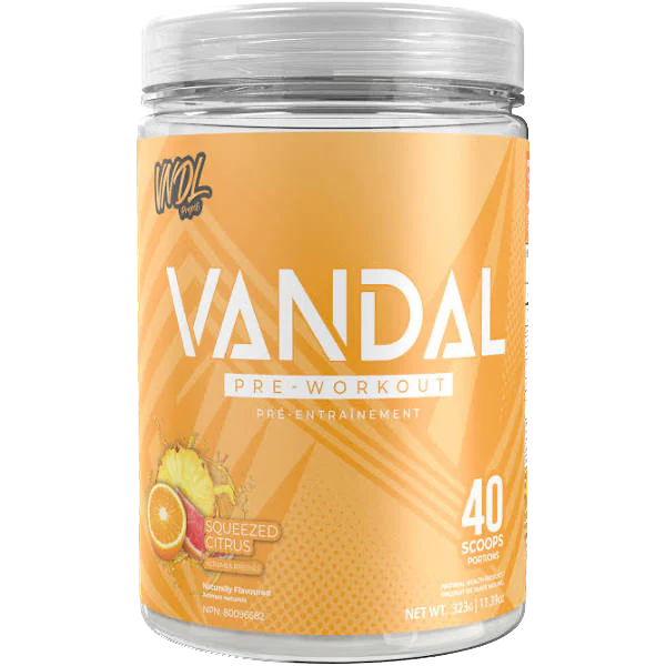 VNDL Vandal Pre Workout 40 Servings - Image 2